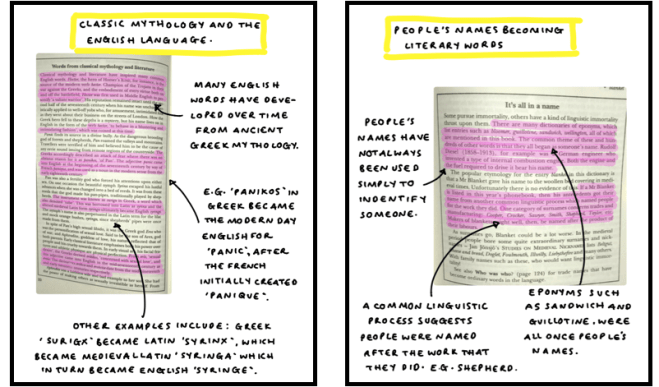 Screen Shot 2018-11-12 at 17.39.29